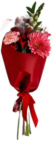 Cone Amor