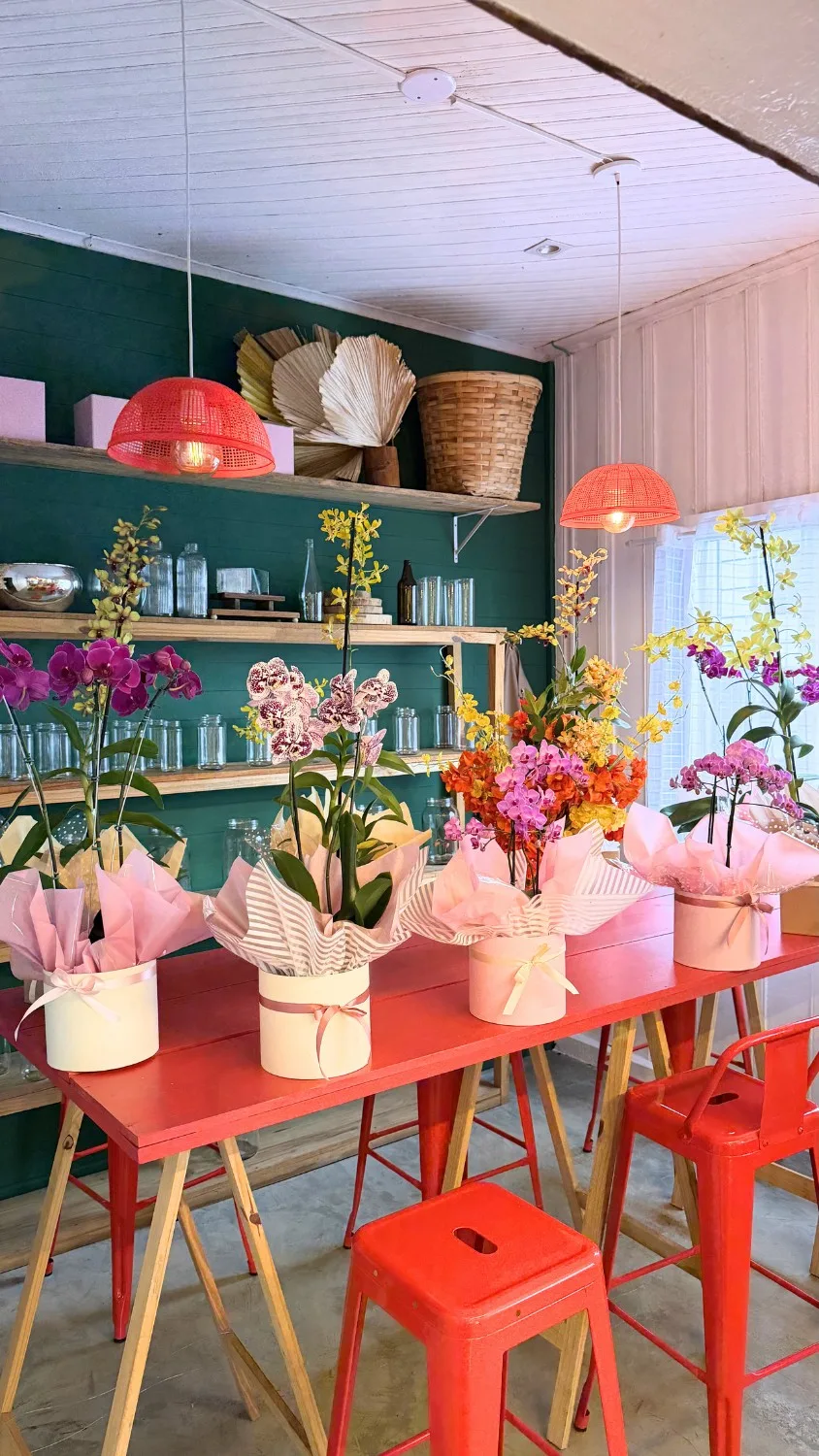 Interior da Channel Ateliê: parede verde, bancada coral e vasos de flores e orquídeas